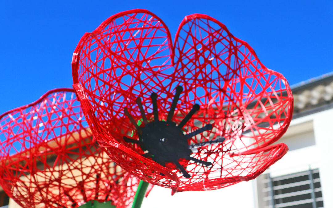 Des coquelicots géants égayent la place de l’église !